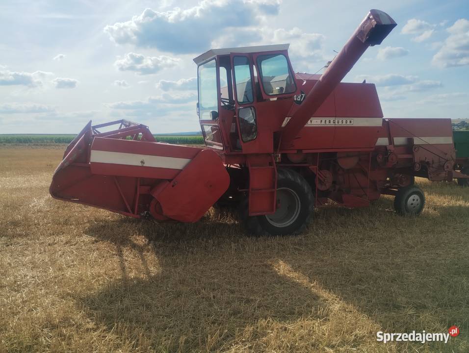 Kombajn zbożowy Massey Ferguson 487 Białowola