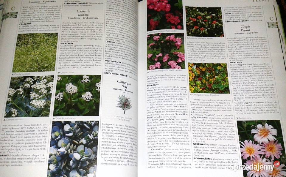Wielka ilustrowana encyklopedia roślin lubelskie Chełm