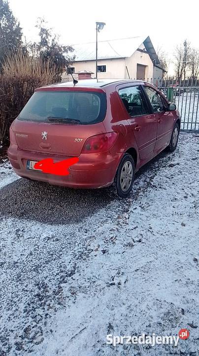 Peugeot 307 16 Pb 2001 Do poprawek 4/5 307