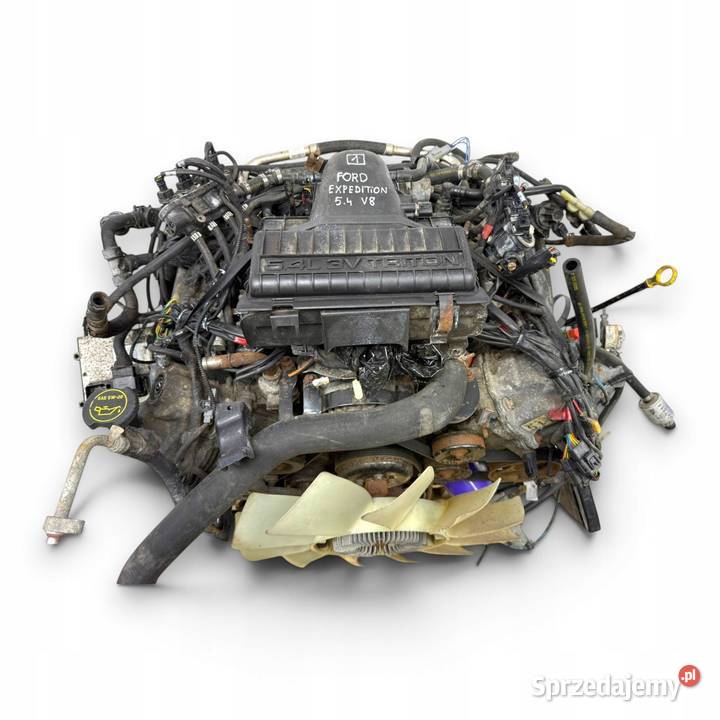 SILNIK ENGINE MOTOR MOTEUR Ford Expedition II 54 Silniki kompletne Chełm