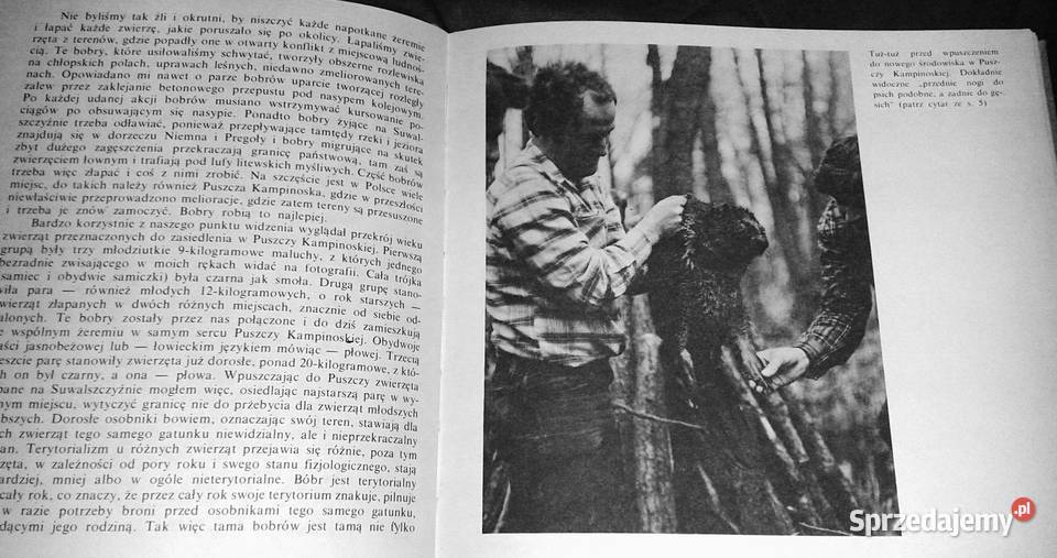 Kampinoskie bobry Piotr Topiński lubelskie Chełm