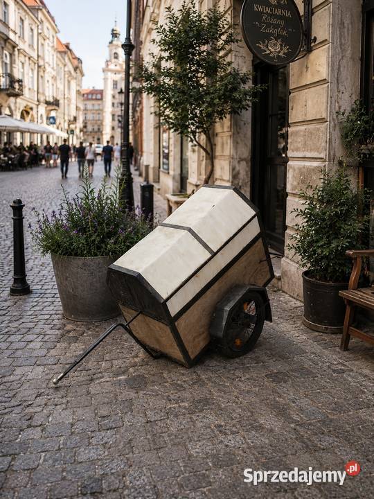 Wózek Do Roweru Transportowy Poddębice