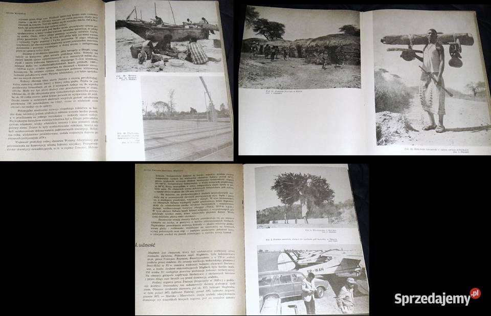 Geografia ekonomiczna Afryki Zbigniew lubelskie