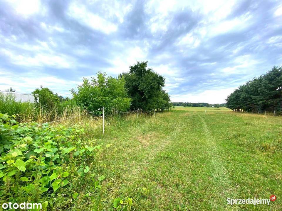 Działka budowlana 18x100m rolna z możliwością 22zł/m2 Sączów sprzedam