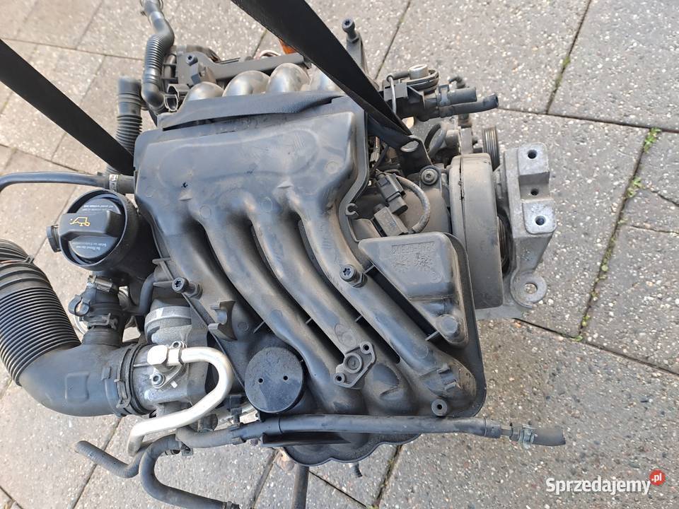 Audi A3 8L 16 8V 102 silnik kompletny kod AVU Jastrzębie-Zdrój sprzedam
