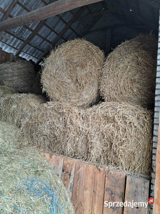 Słoma w belach Gadka sprzedam