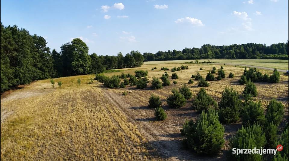Działka bud 940M2 1090M2 1341M2 Nowa Wola Radom sprzedam