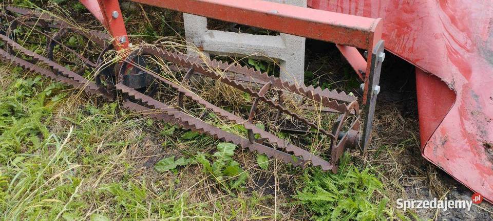 Talerzówka Strumyk 28m Łęki Szlacheckie