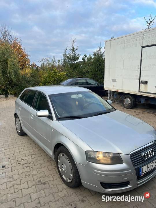 Audi A3 8P okazja Rok produkcji 2007 lubelskie Wólka Rokicka