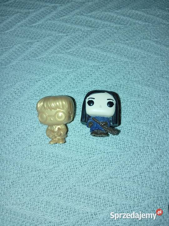 Złoty Harry Potter Krynica-Zdrój