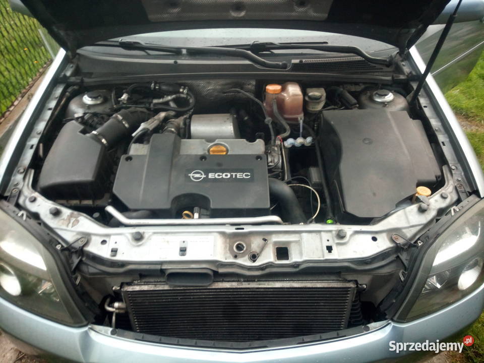Opel Signum 20 DTi Signum Jastrzębie-Zdrój
