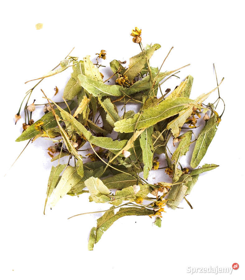 Lipa kwiatostan herbatka lipowa 150 g Ropczyce
