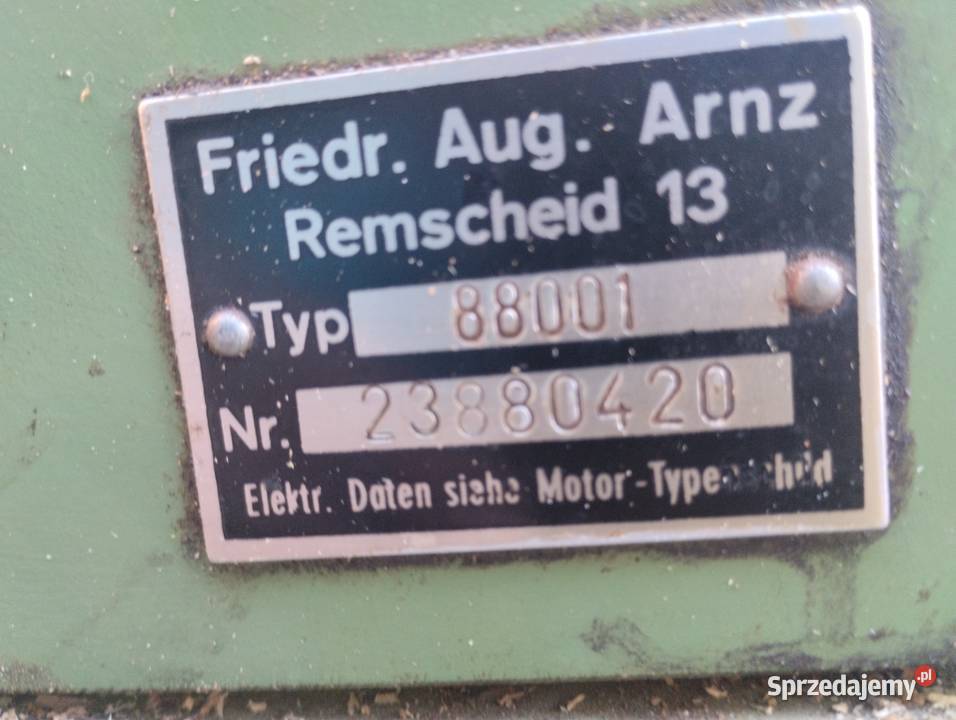 Heblarka Grubosciowka Kaliska