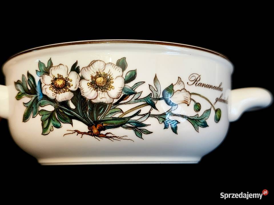 Bulionówka Villeroy Boch Botanica Chełm sprzedam