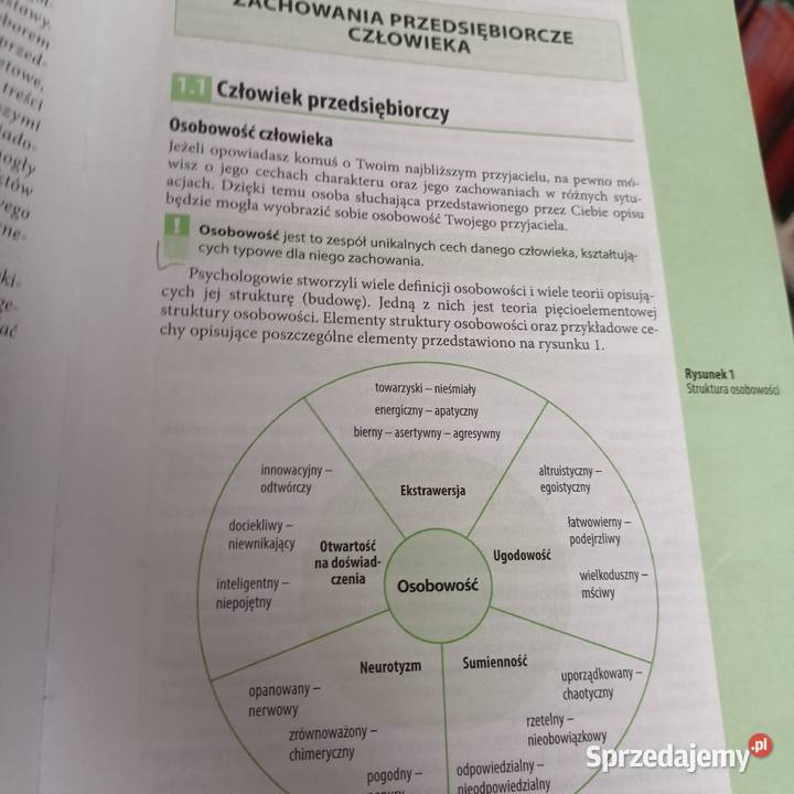 Zarys przedsiębiorczości Musiałkiewiicz NPP Gdańsk