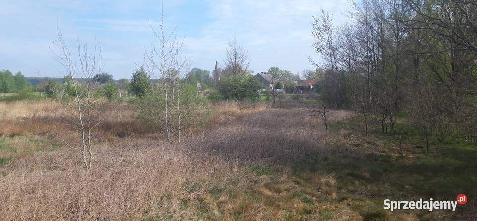 Twoje miejsce na dom wśród zieleni Koźla 2400 m Sprzedaż sprzedam