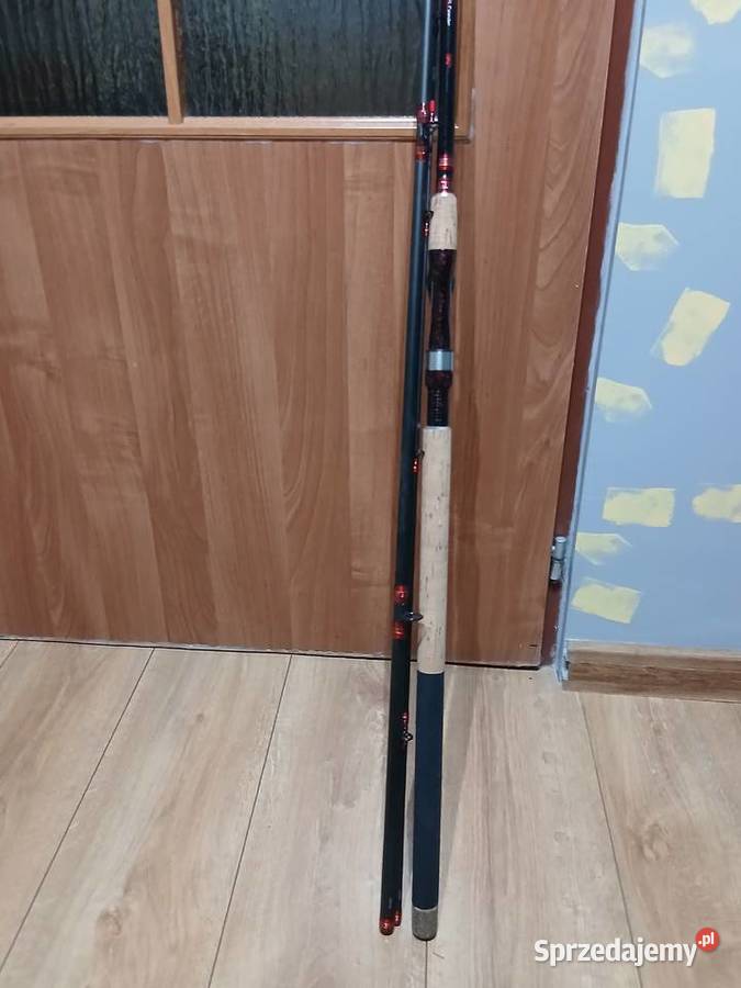 Wędka fedeer świętokrzyskie Bałtów