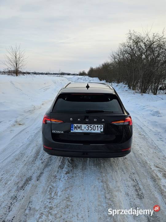 Skoda Octavia 20 Tdi 150 DSG mały przebieg mazowieckie Mława