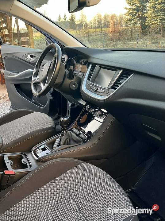 Opel Grandland X 16 CDTI 120 2018 Diesel 168 Rok produkcji 2018 Zalasowa