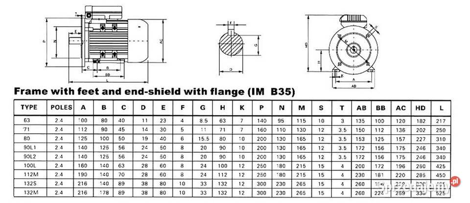UDOSTĘPNIJ OBSERWUJ SILNIK ELEKTRYCZNY 3kW Sklep Czarnylas