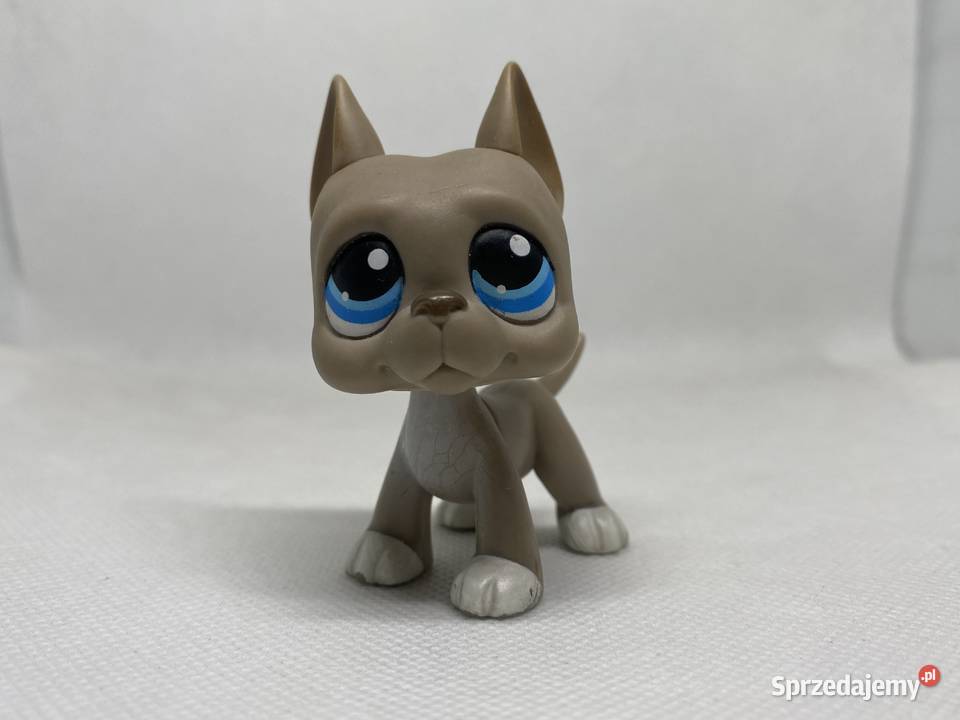 LPS Littlest pet shop pop dog niemiecki 184 łódzkie Łódź
