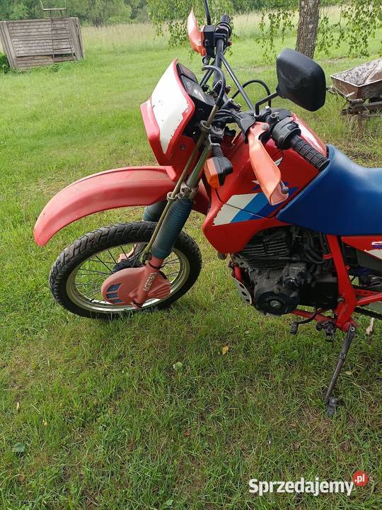 Honda XL 600 Honda Suchedniów