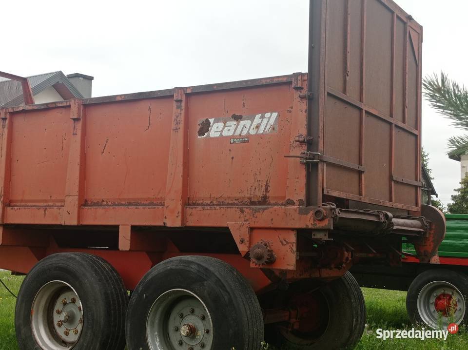 Rozrzutnik mazowieckie Stara Kornica