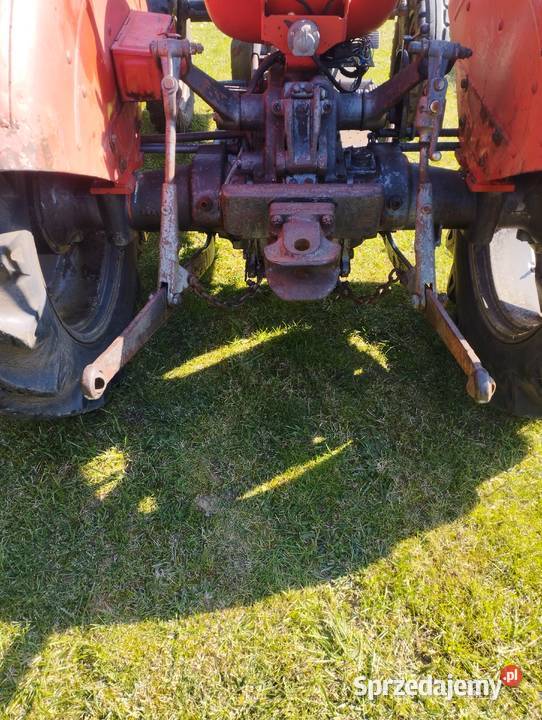 Ciągnik Massey Ferguson MF30 Myślibórz