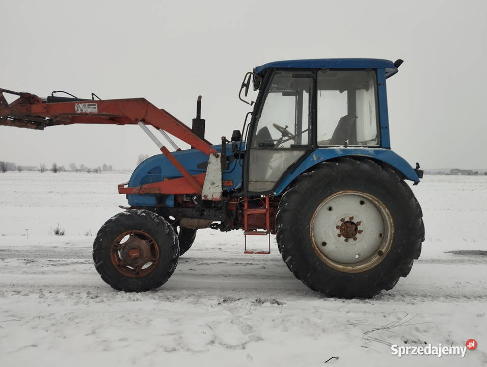 Ciągnik MTZ z Turem Brzostówiec