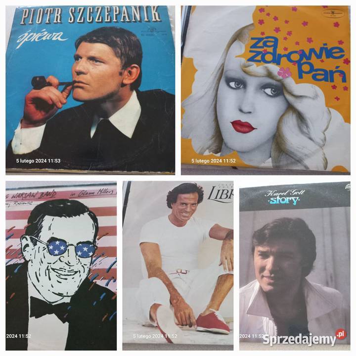 Płyty gramofonowe Płyty i kasety Muzyka Poznań