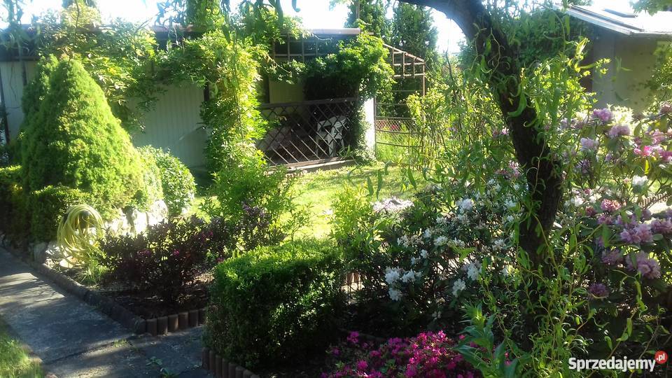 Sprzedam śliczną działkę rekreacyjną Częstochowa sprzedam