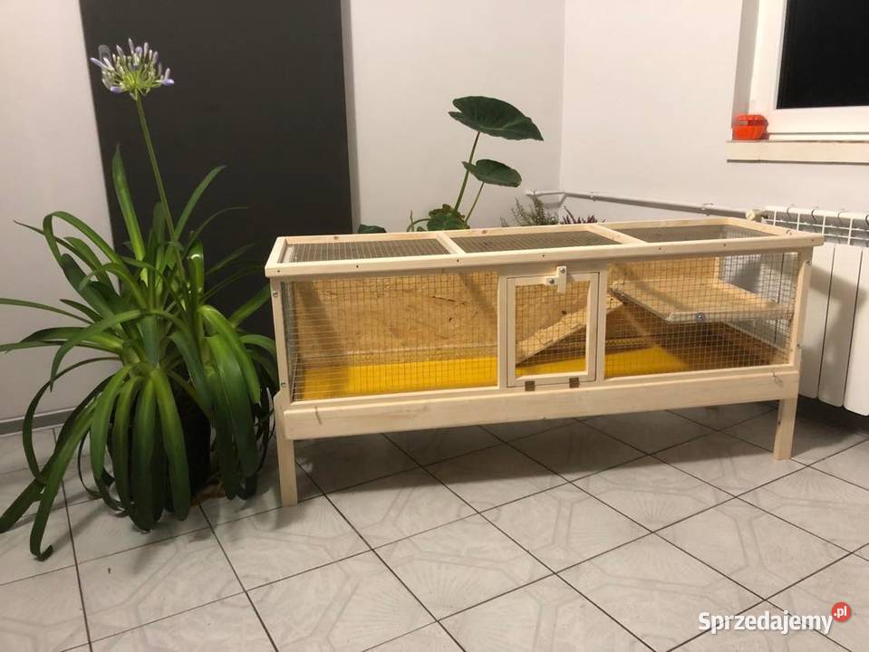 Klatka drewniana zagroda królika świnki morskiej Myszków
