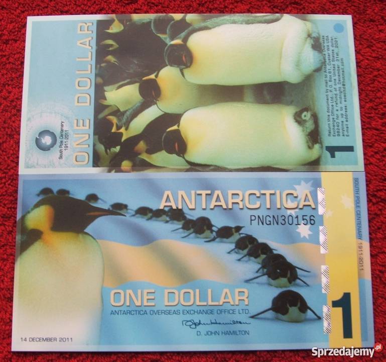 Banknot 1 DOLLAR ANTARKTYDA PINGWINY Polimerowy
