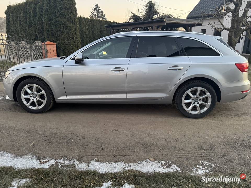 Audi A4 B9 Avant 20 TDI 150 manual Brudzew