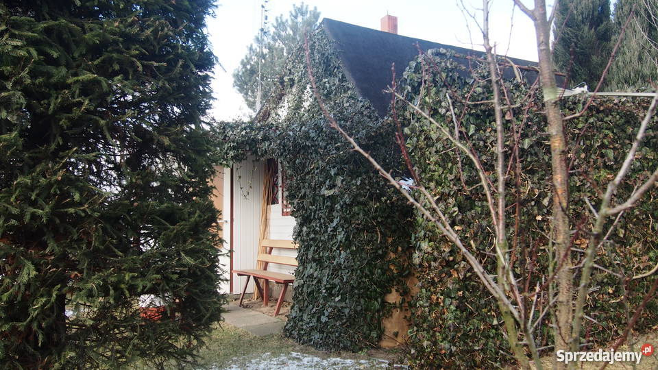 ogródek działkowy Sochaczew