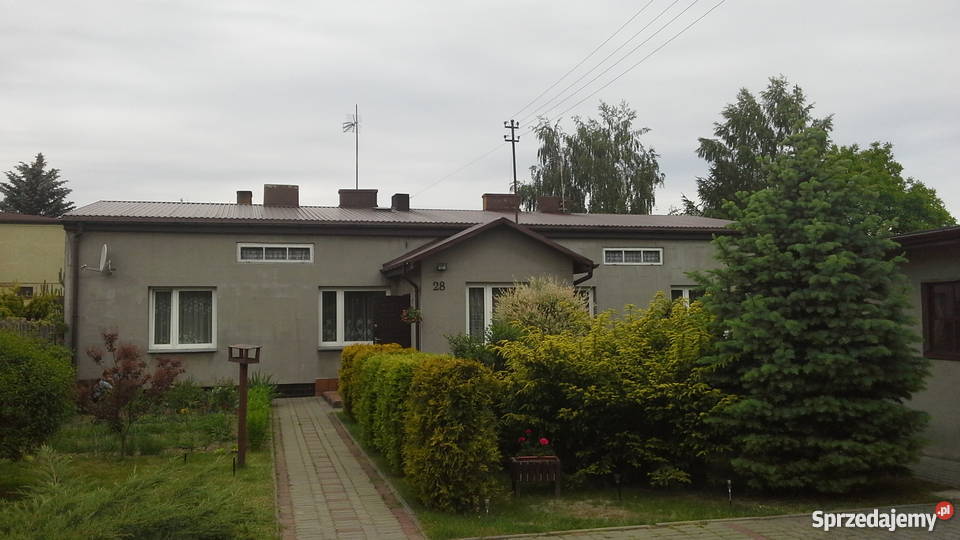 Sprzedam dom 100m2 w Koluszkach garaż Domy Koluszki