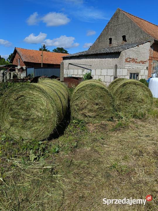 Sprzedam bele siana sianokiszonki Węgorzewo