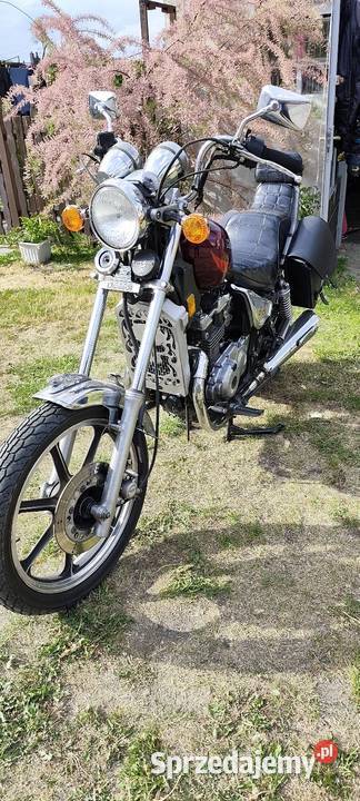 Kawasaki LTD 454 Dzbańce-Osiedle