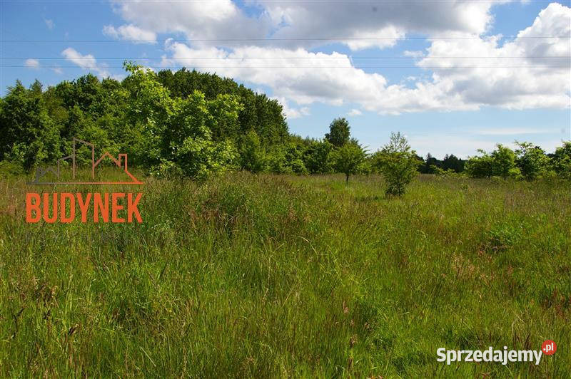 Działka siedliskowa Jeżyce Grunty i działki