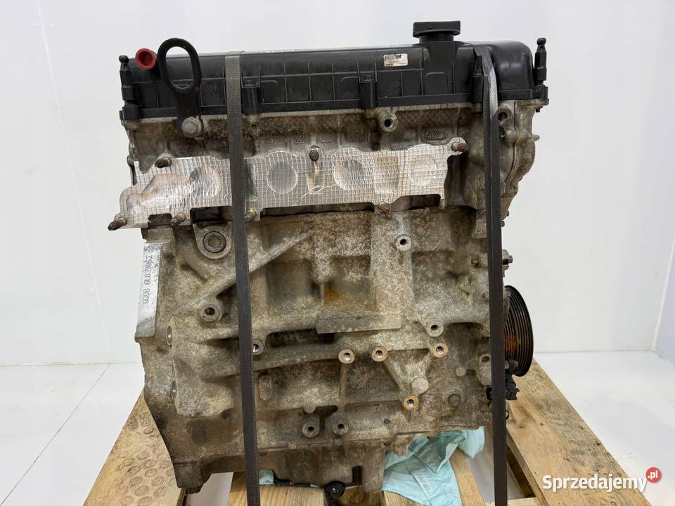 SILNIK QQDB Ford Focus II MK2 C C 18 16V 125 Silniki kompletne Chełm