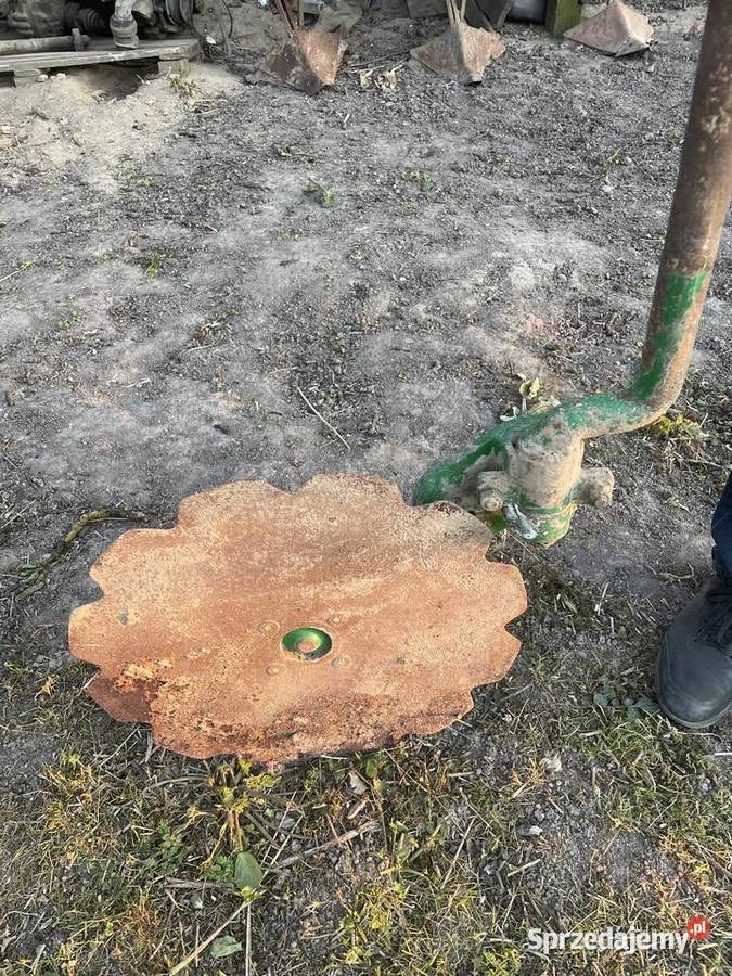 Krój do pługa lubelskie sprzedam