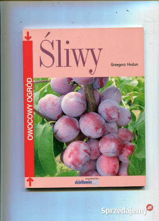 Śliwy Hodun Rok wydania 2008 Szczecin sprzedam
