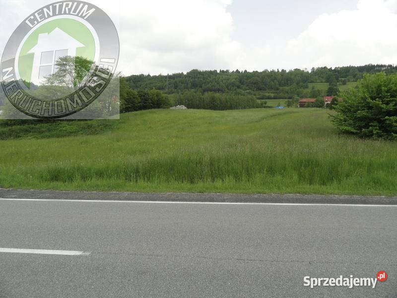 Działka do sprzedania 5422m2 Mszalnica