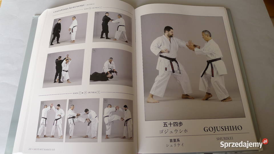 NAKAHASHI Shito Ryu Kata Karate Tanzadeh Demura Radom