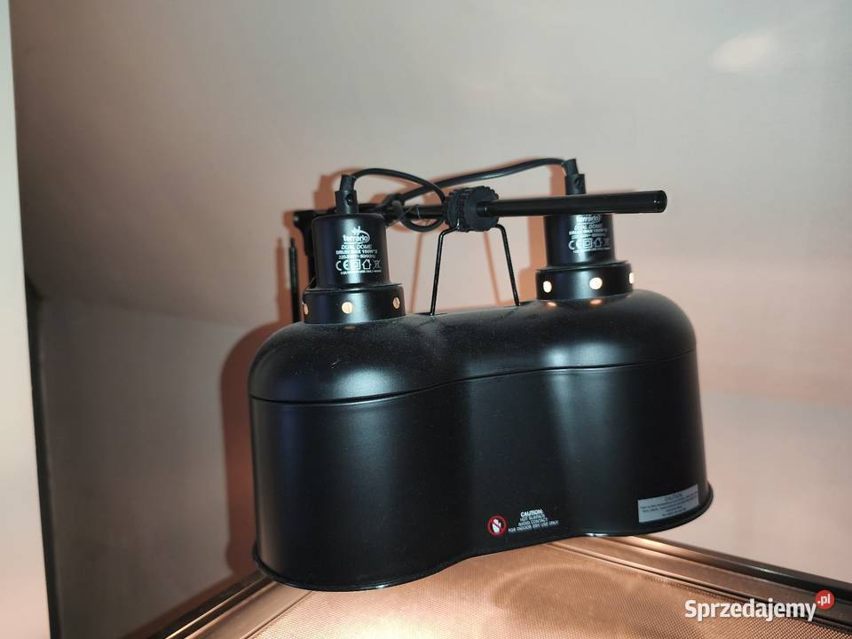 Boa imperator Gady i płazy Wałbrzych