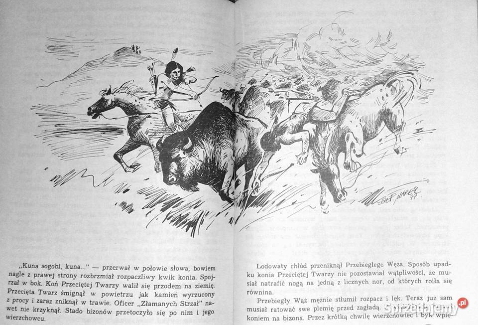 Złoto Gór Czarnych Tom 123 Krystyna i Alfred Chełm