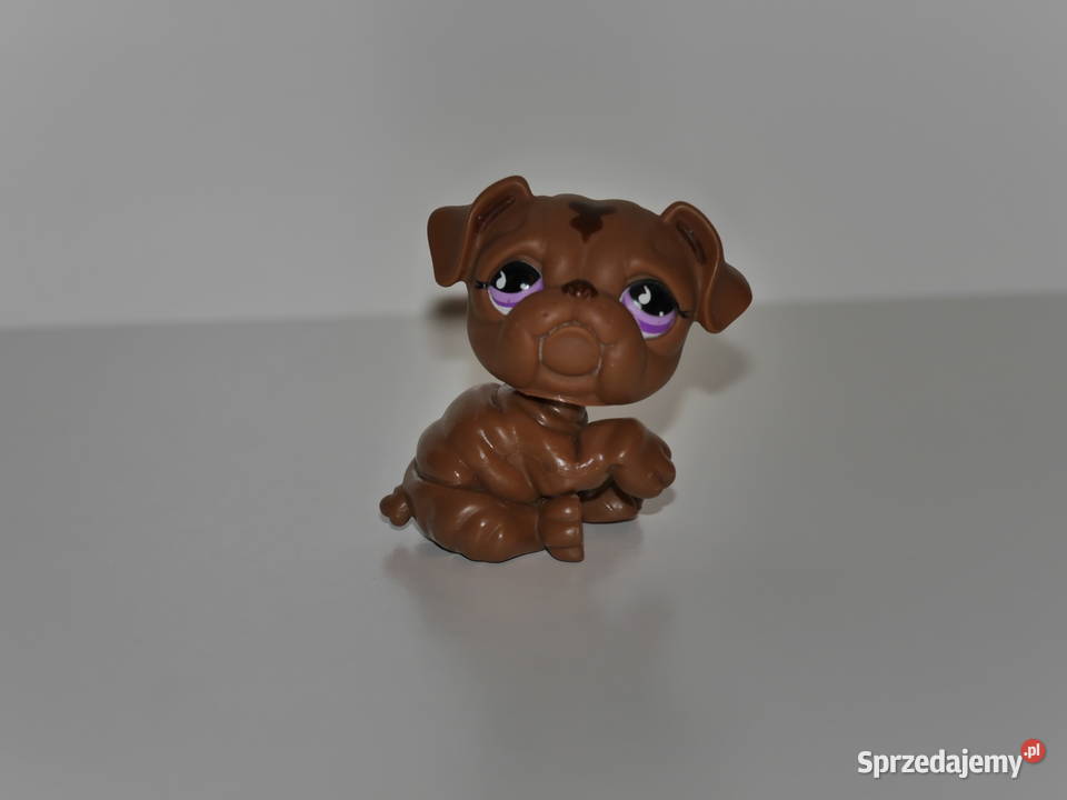 Hasbro Littlest Pet Shop kolekcjonerska figurka Wrocław