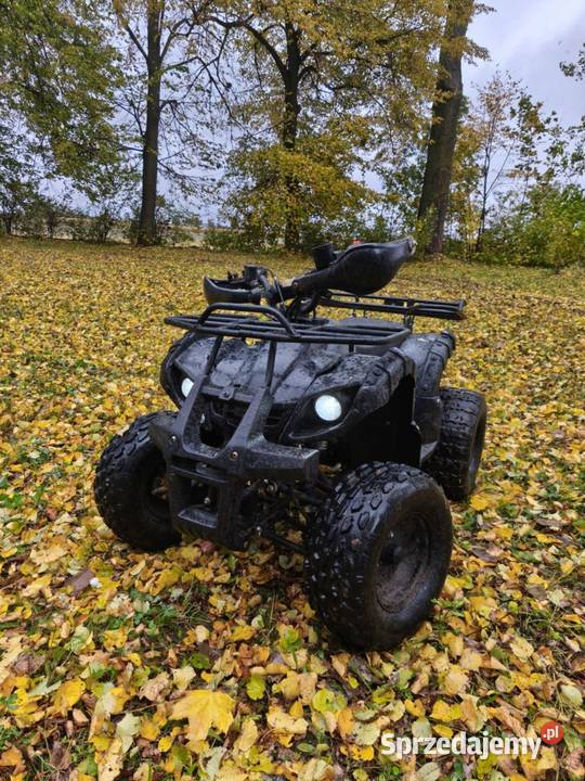 quada 125ccm wersja 3biegowa Rok produkcji 2020 Pozostałe Gostynin