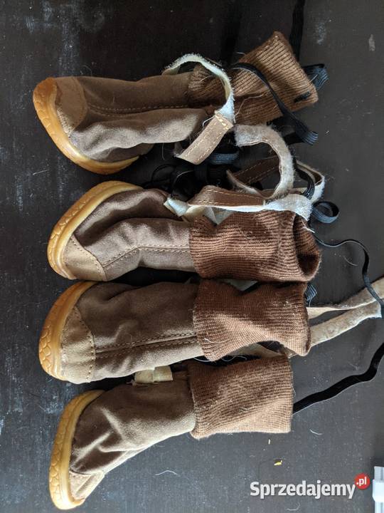 Buty zimowe do psów i kotów Poznań