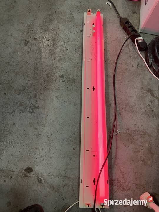 Świetlówki 36w 18 red i blue Philps TLD 18W15 Dom i Ogród mazowieckie Warszawa